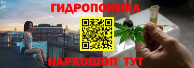 стафф Аргун