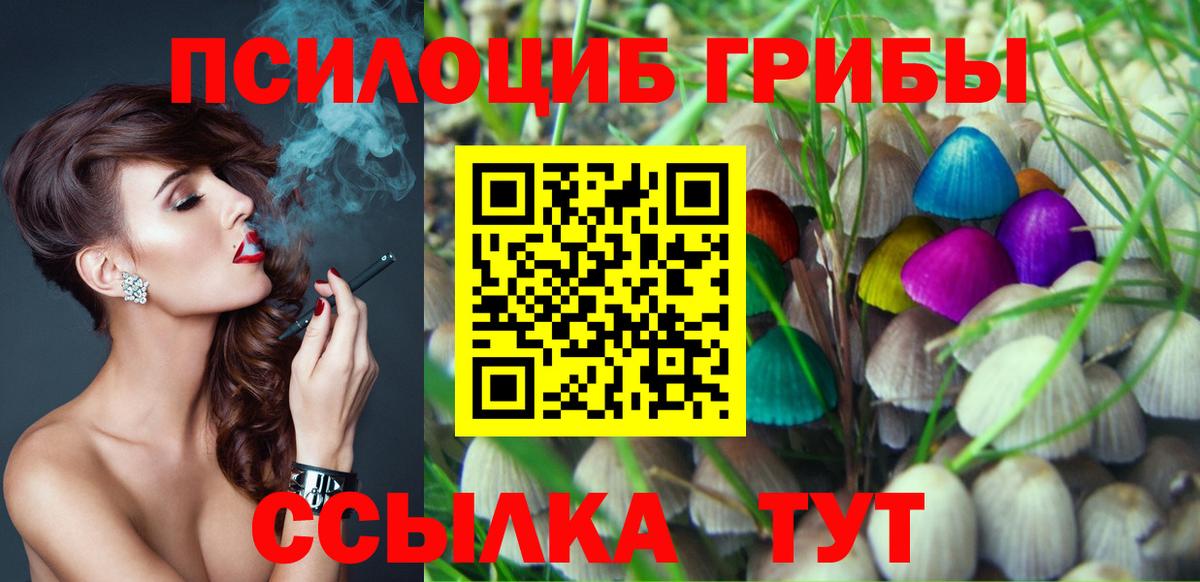 Галлюциногенные грибы Cubensis  Галлюциногенные грибы прущие грибы  Вход с VPN  Лысьва 