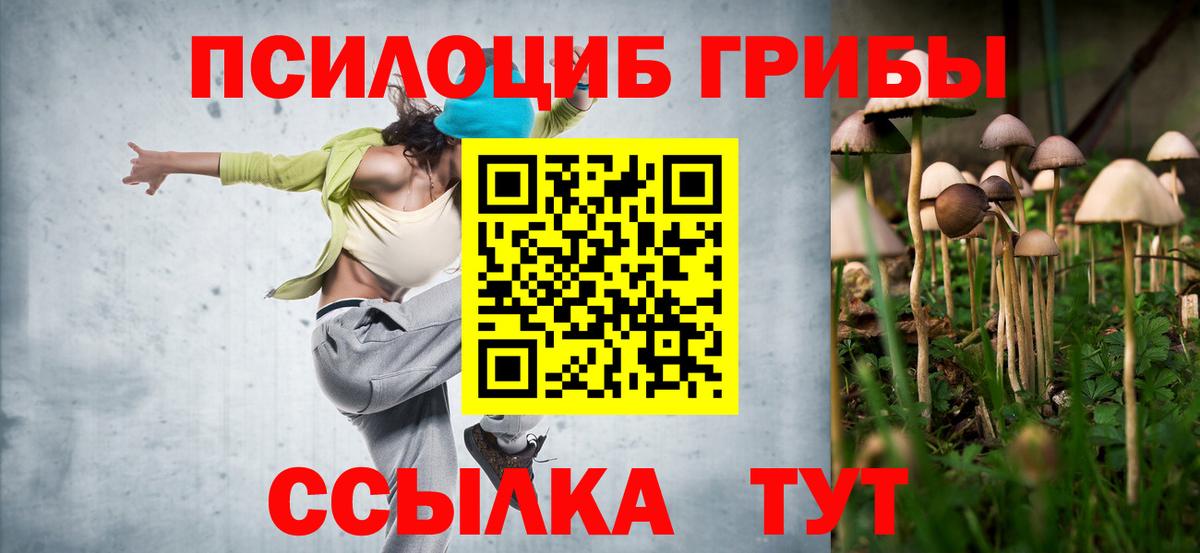 Псилоцибиновые грибы прущие грибы Лысьва