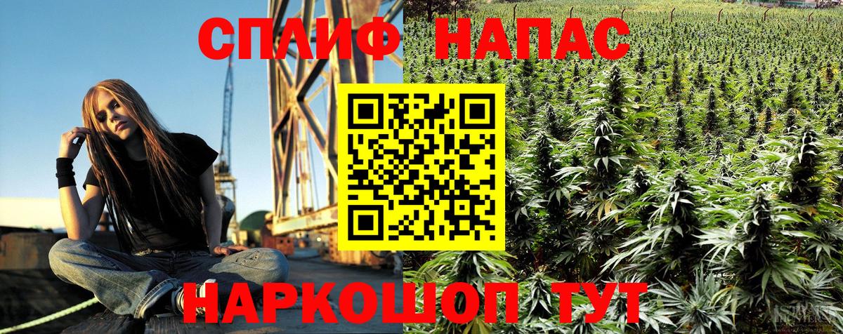 Бошки Шишки тримм  Бошки марихуана гибрид  Лысьва  Канабис THC 21%  Конопля марихуана 